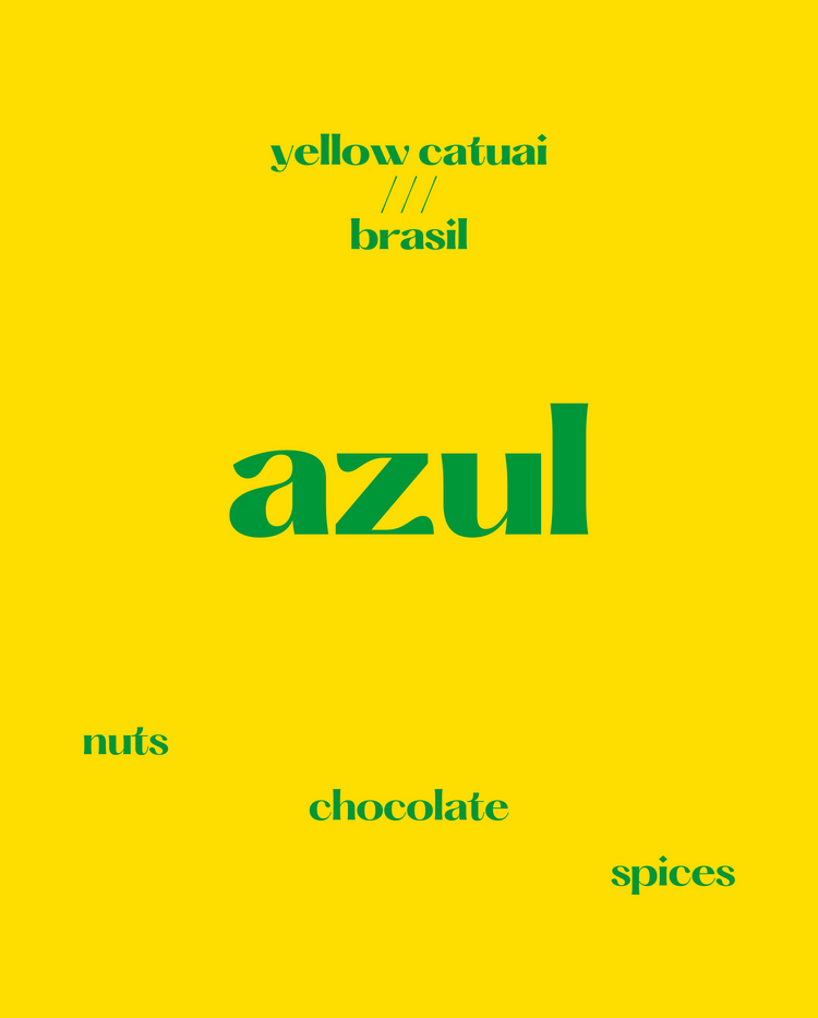 Azul Honey | Brasil
