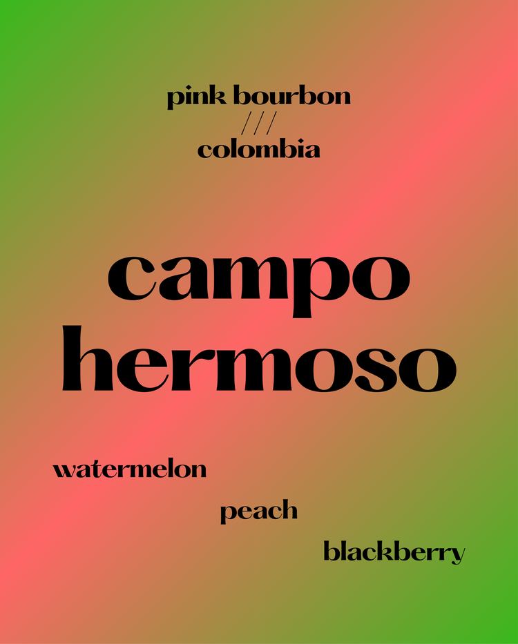 Campo Hermoso, Watermelon | Colombia