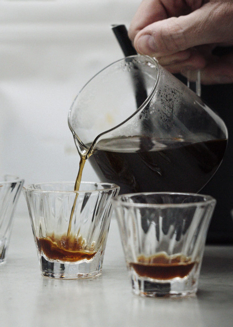 Subscription | Light Roast