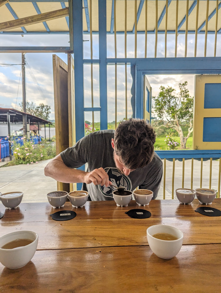 Campo Hermoso, Watermelon | Colombia
