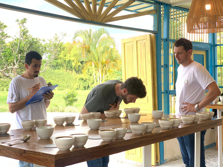Campo Hermoso, Watermelon | Colombia
