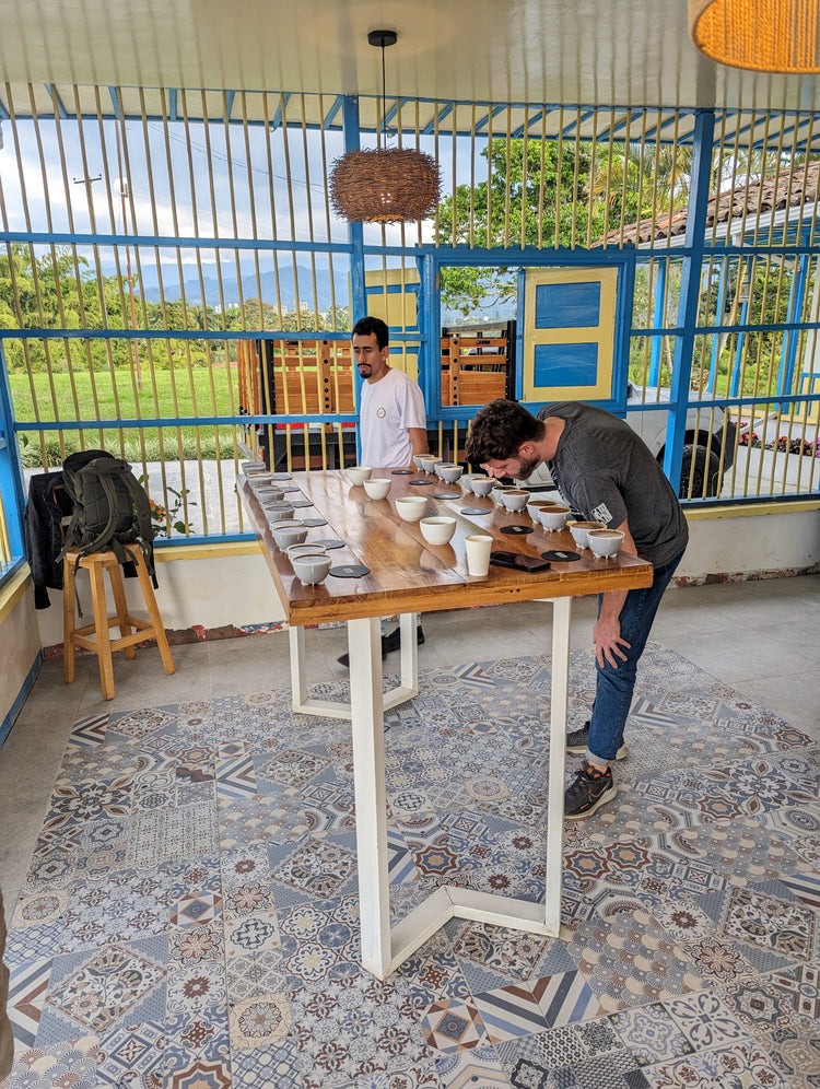 Campo Hermoso, Caturra | Colombia