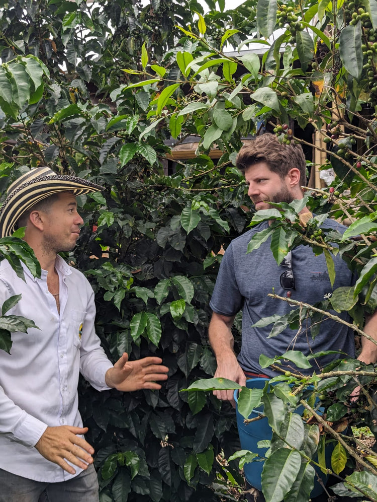 El Girasol | Colombia