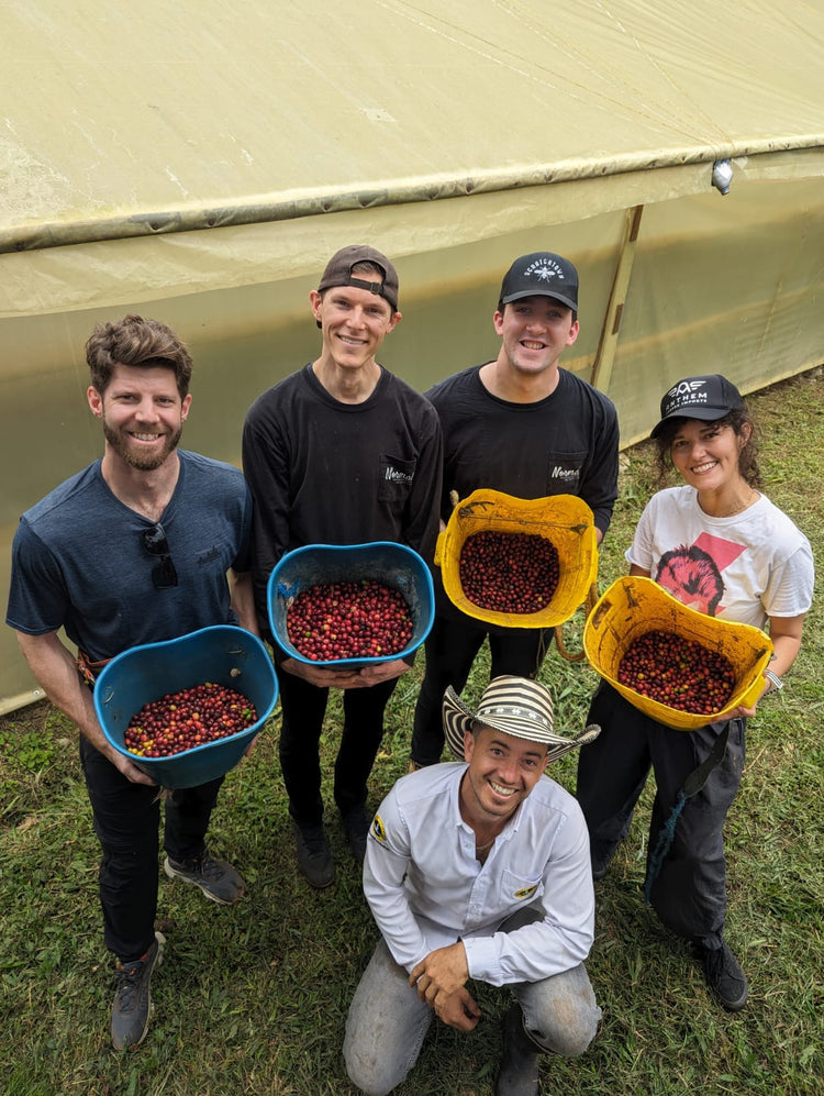 El Girasol | Colombia