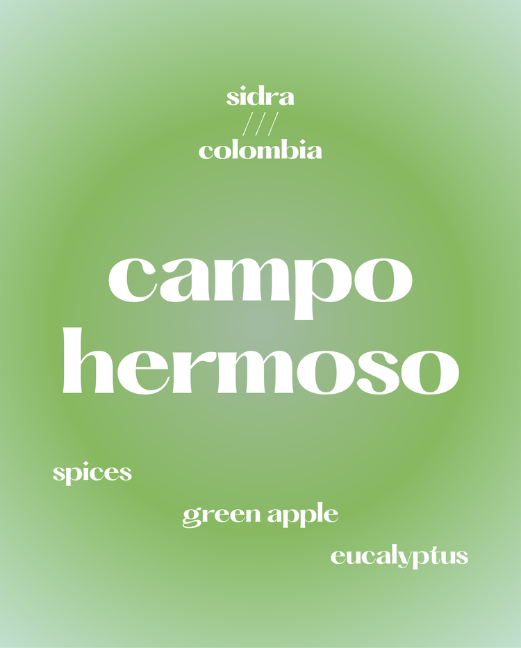 Campo Hermoso, Pink Bourbon | Colombia