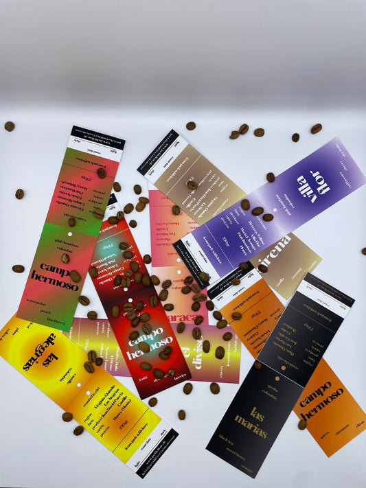 Discovery Box | Light Roast