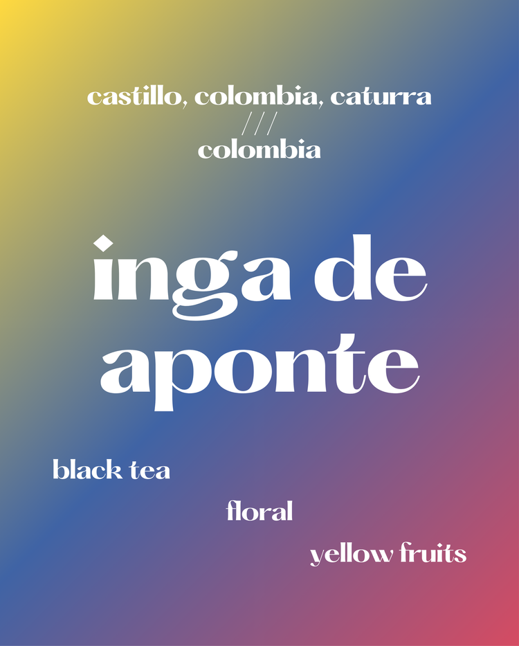Inga de Aponte | Colombia