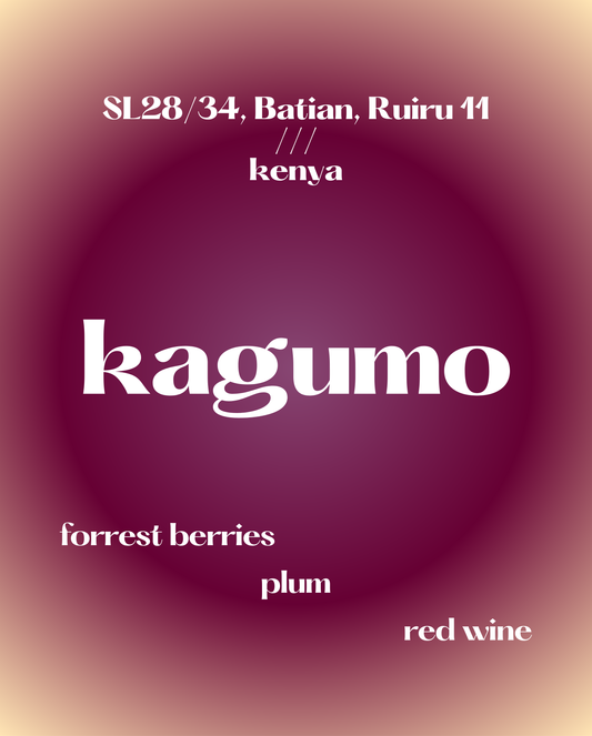 Kagumo | Kenya