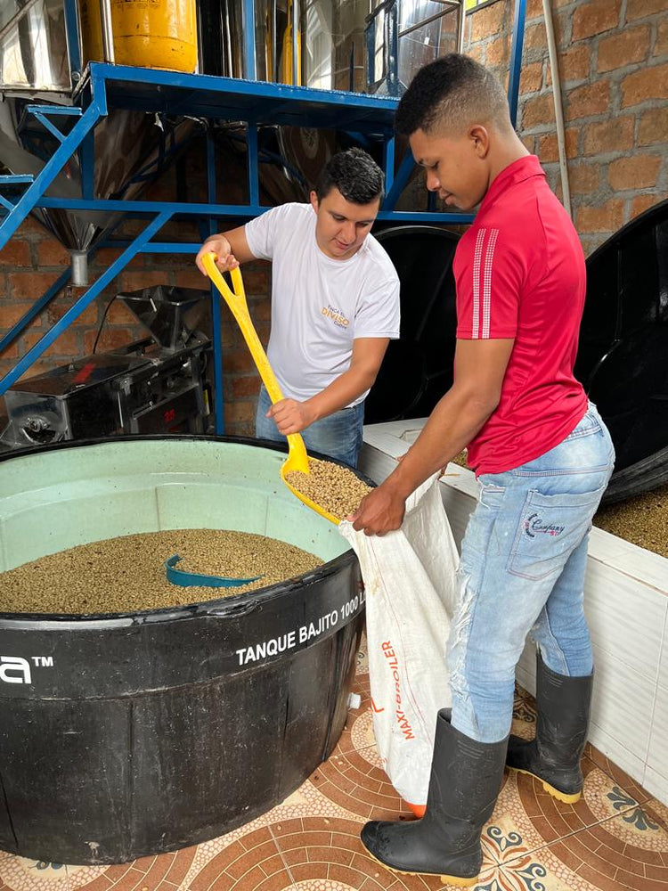 El Diviso | Colombia