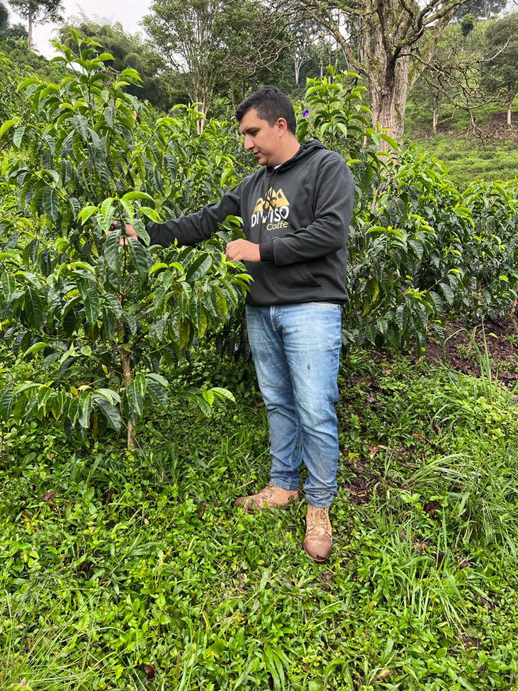 El Diviso | Colombia