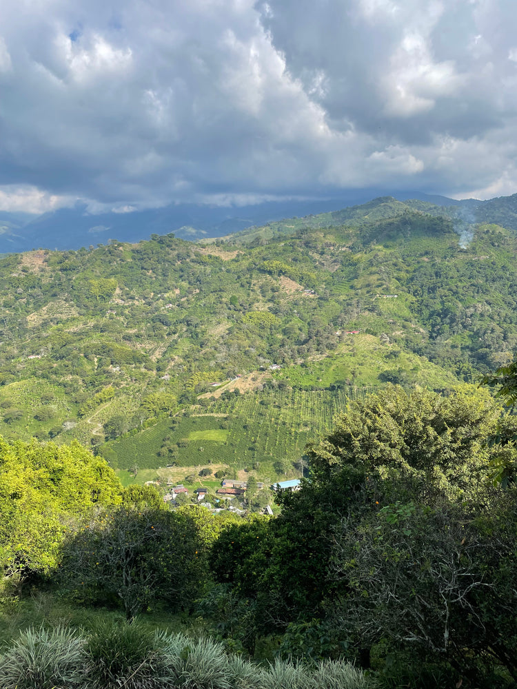 La Estrella | Colombia