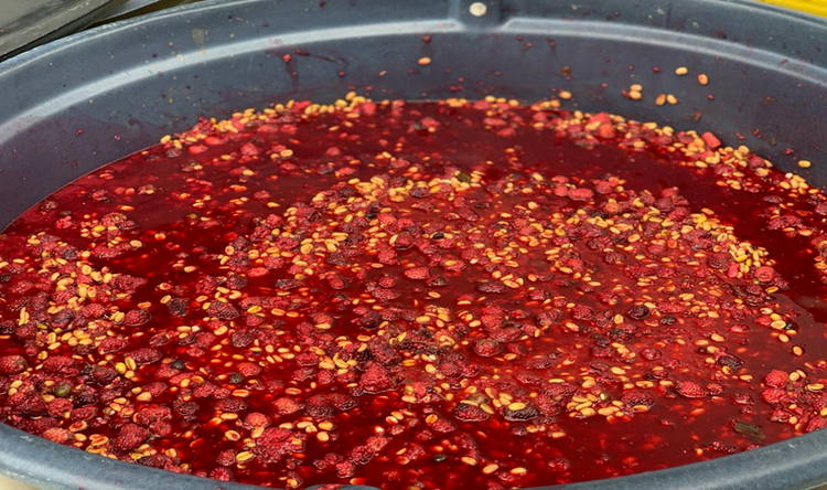 Campo Hermoso, Pink Bourbon | Colombia