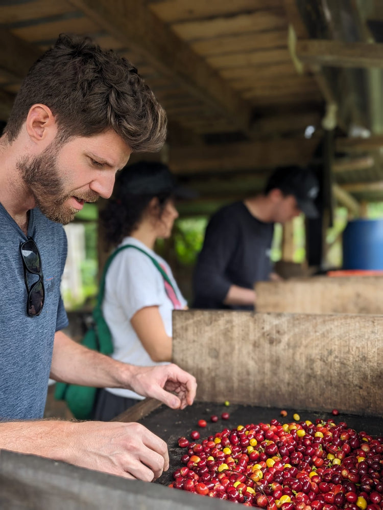 El Girasol | Colombia