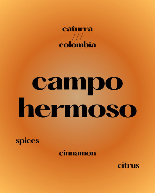 Campo Hermoso, Caturra | Colombia