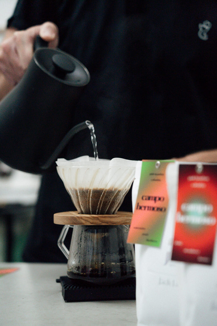Subscription | Light Roast