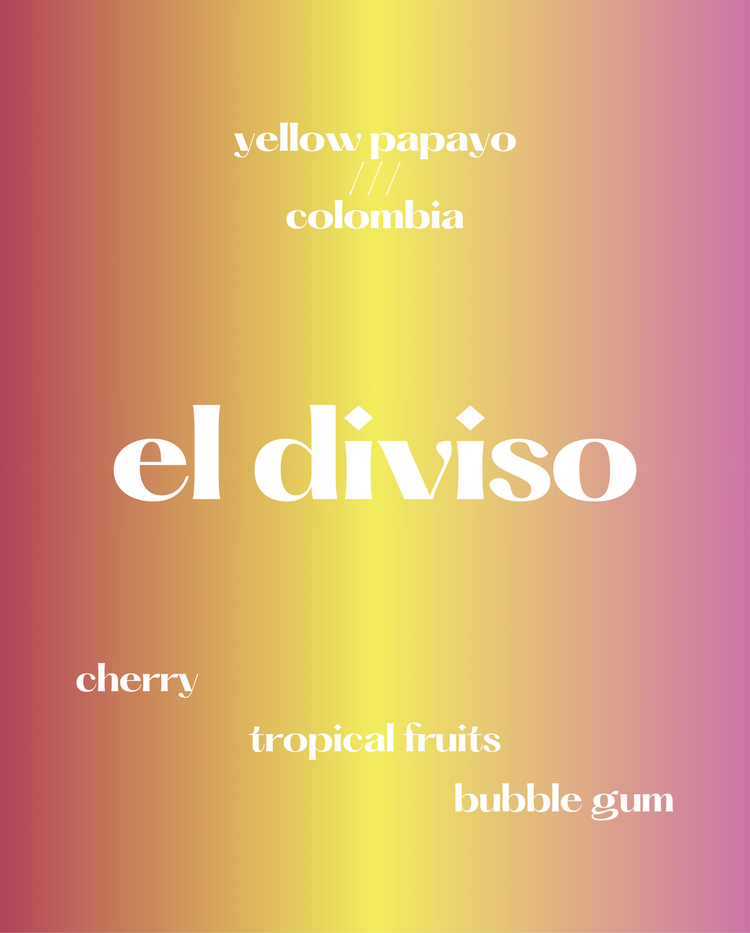 El Diviso | Colombia