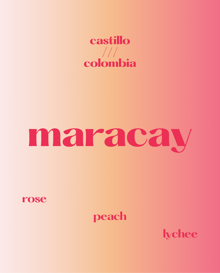 Maracay | Colombia