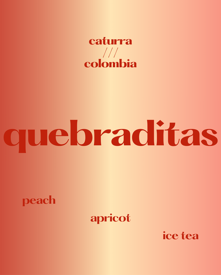 Quebraditas, Caturra | Colombia