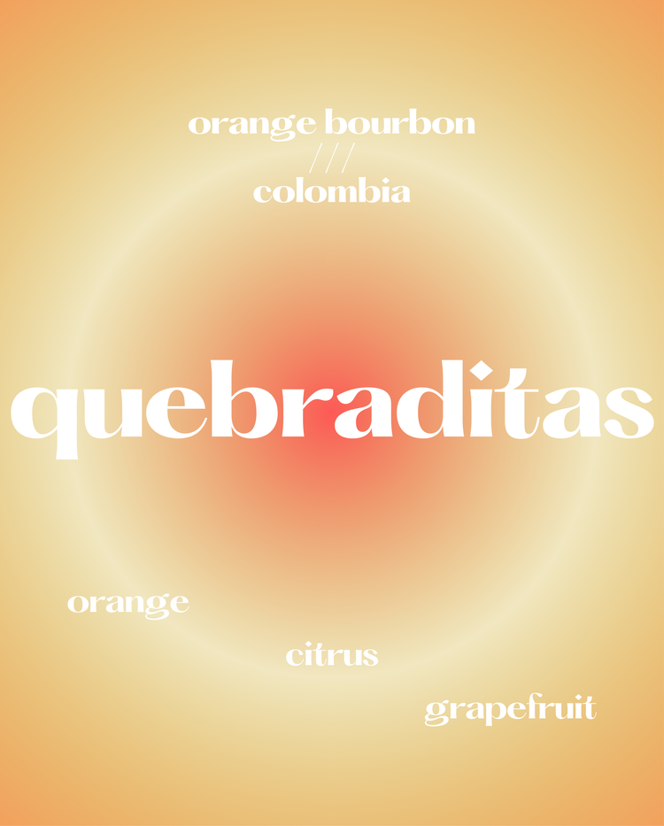 Quebraditas, Orange Bourbon | Colombia